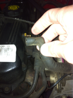 image-824224772.png