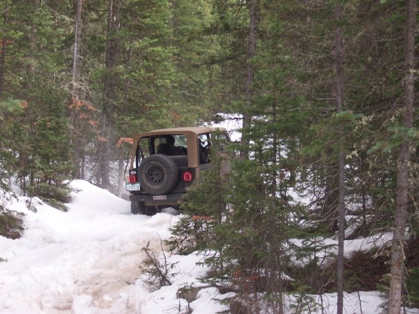 I love to Jeep