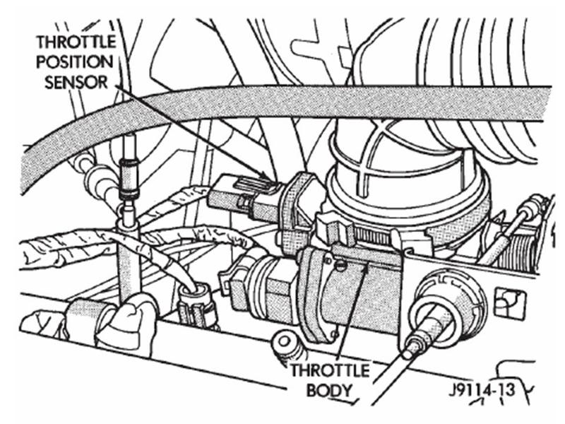 Slide12-1.jpg